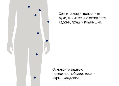 10 повседневных действий, из-за которых кожа выглядит на 10 лет старше 10 повседневных действий, из-за которых кожа выглядит на 10 лет старше