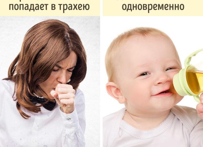 10 ошибок в строении человеческого тела, которые создают нам немало проблем 