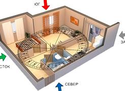 Денежная жаба по фен-шуй: куда ставить, что означает 