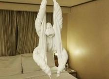 17 людей, которым надо сказать спасибо за то, что они просто делают свою работу 