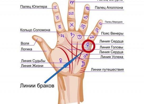 Как узнать по руке, сколько будет браков 