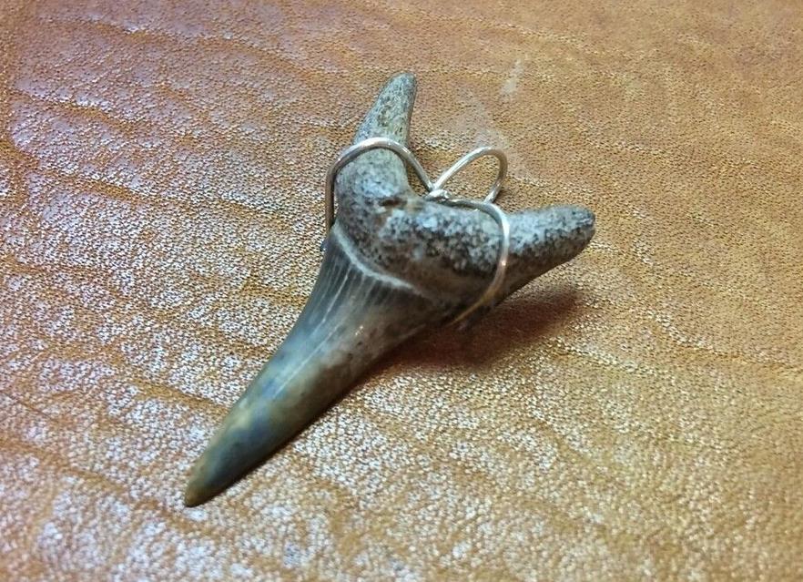 Амулет зуб акулы и его значение 