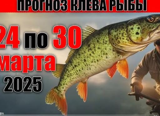 ♓️ Рыбы, 30 марта