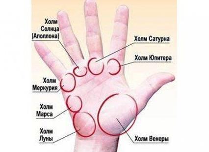 Холм юпитера на ладони: значение в хиромантии 