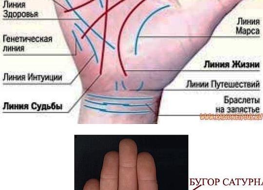 Хиромантия с разъяснениями для начинающих: фото рук 
