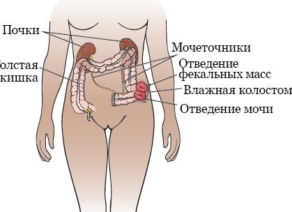 9 предметов, которые всегда нужно носить с собой 